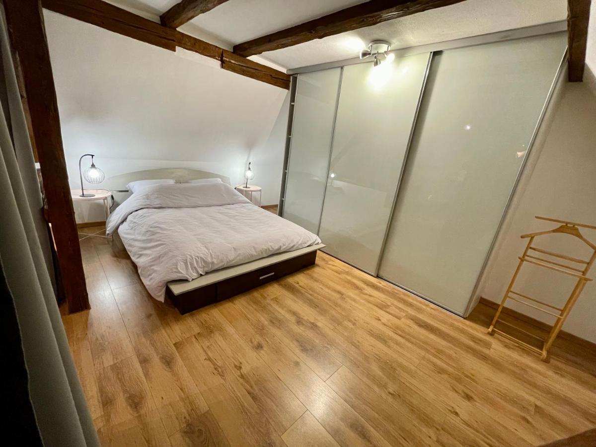 Apartamento Le Petit Linck - Typique Au Coeur De Colmar Exterior foto