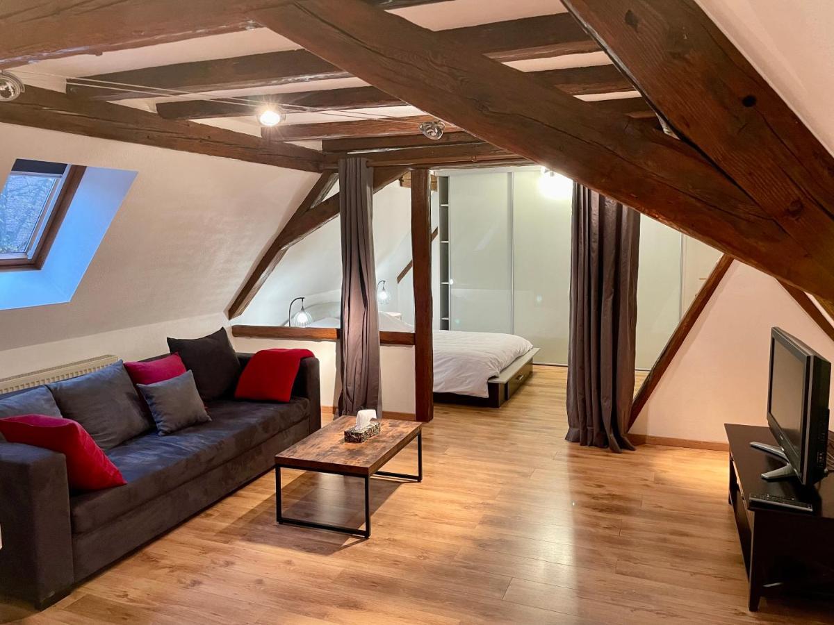 Apartamento Le Petit Linck - Typique Au Coeur De Colmar Exterior foto